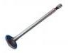 Exhaust Valve:11 34 2 247 077