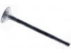 Exhaust Valve:036 109 611 K