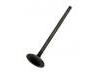 Exhaust Valve:14721-PDA-E00